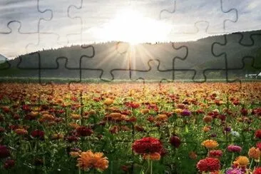 22 jigsaw puzzle