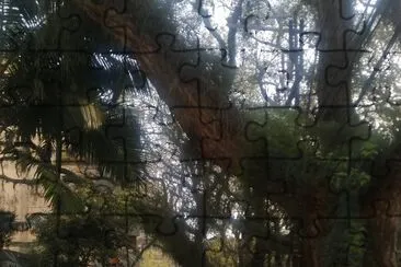 פאזל של 6