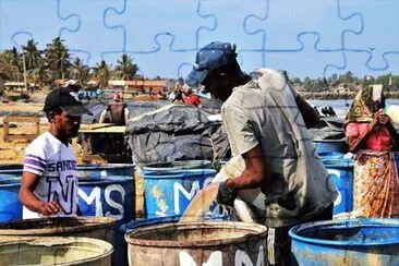 Foto jigsaw puzzle