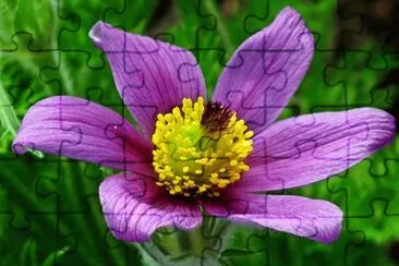 Foto jigsaw puzzle