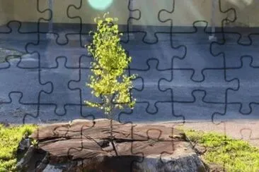 Toy jigsaw puzzle