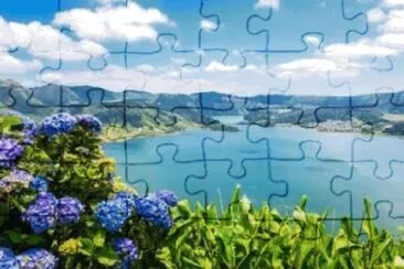 Toy jigsaw puzzle