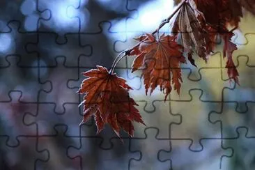 Foto jigsaw puzzle
