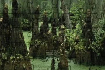 Foto jigsaw puzzle