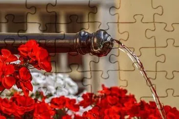 Foto jigsaw puzzle