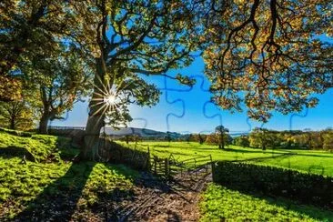 Foto jigsaw puzzle