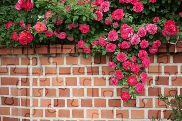 OK jigsaw puzzle