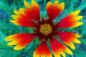 OK jigsaw puzzle