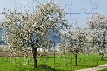 Foto jigsaw puzzle
