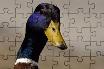 Foto jigsaw puzzle