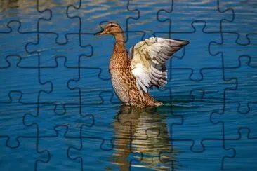 Foto jigsaw puzzle