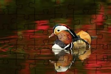 Foto jigsaw puzzle