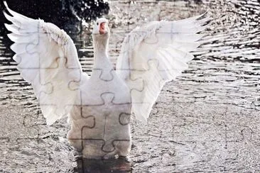 Foto jigsaw puzzle