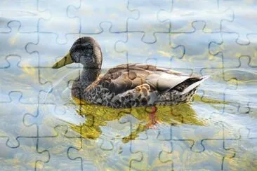 Foto jigsaw puzzle