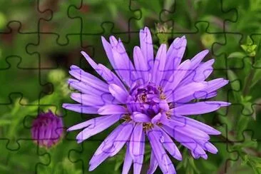 Foto jigsaw puzzle