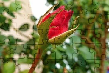 Foto jigsaw puzzle