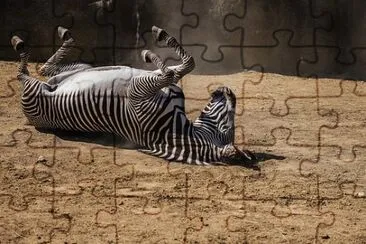 פאזל של Foto