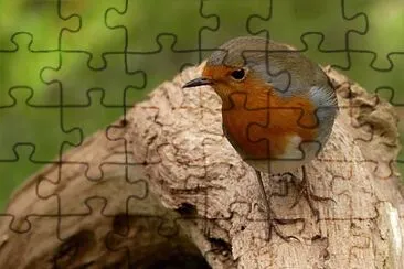Foto jigsaw puzzle