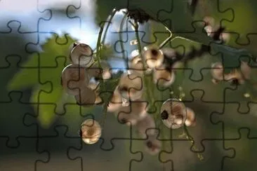 Foto jigsaw puzzle