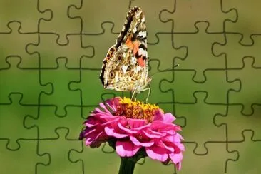 Foto jigsaw puzzle