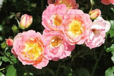 Foto jigsaw puzzle