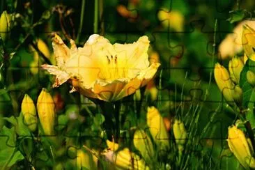 Foto jigsaw puzzle