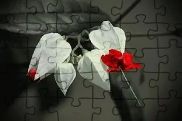 Foto jigsaw puzzle