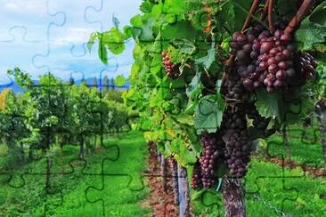 Foto jigsaw puzzle