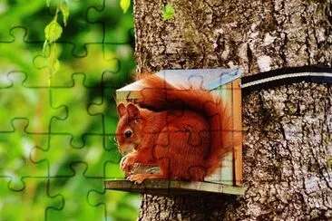 Foto jigsaw puzzle
