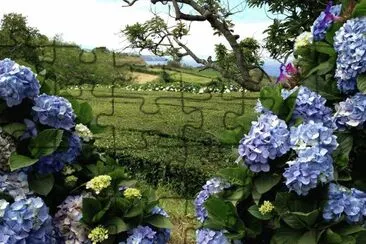 imagem jigsaw puzzle