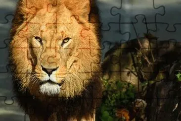 Foto jigsaw puzzle
