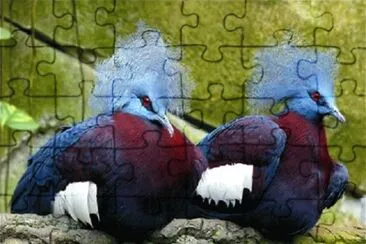 Foto jigsaw puzzle