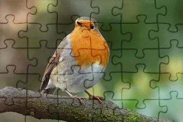 Foto jigsaw puzzle