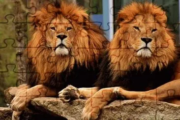 Foto jigsaw puzzle
