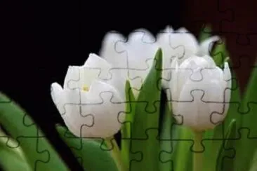 Imagem jigsaw puzzle