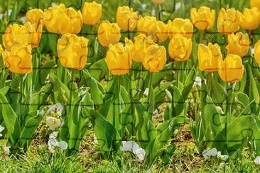 Imagem jigsaw puzzle