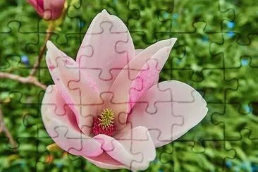Imagem jigsaw puzzle