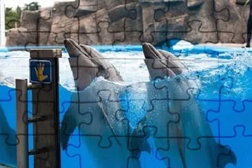 Foto jigsaw puzzle