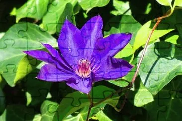 0K jigsaw puzzle