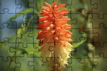 OK jigsaw puzzle
