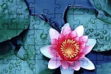 Foto jigsaw puzzle