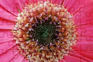 Foto jigsaw puzzle