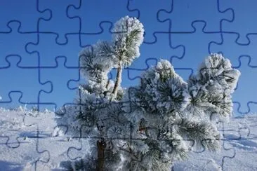 Foto jigsaw puzzle
