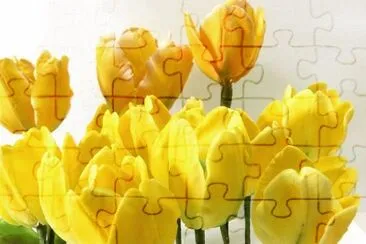 Foto jigsaw puzzle