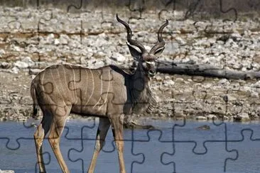 CudÃ¹ maggiore jigsaw puzzle