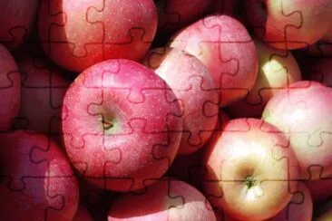 Toy jigsaw puzzle