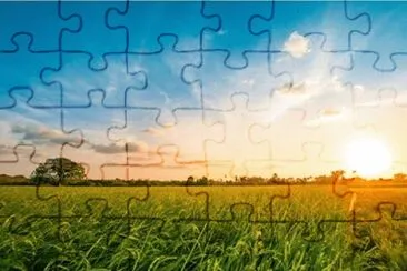 Paisaje jigsaw puzzle