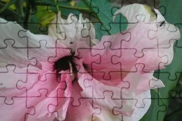 OK jigsaw puzzle