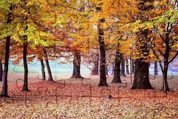 Foto jigsaw puzzle