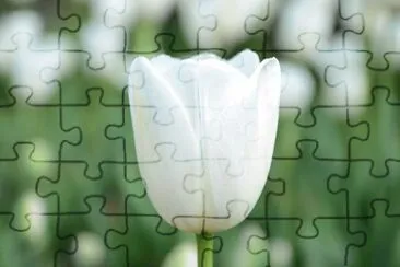 Foto jigsaw puzzle